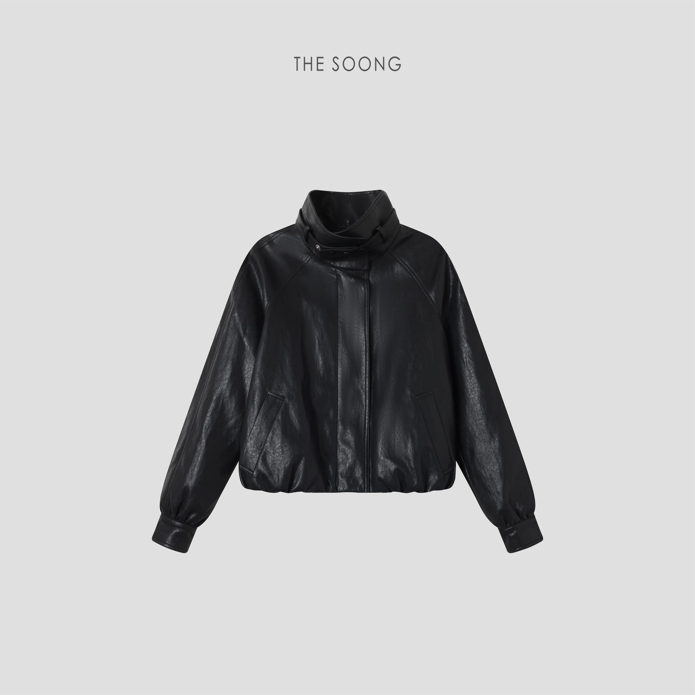 Euro-Style Down Puffer Black Stand-Collar Cropped Jacket for Women