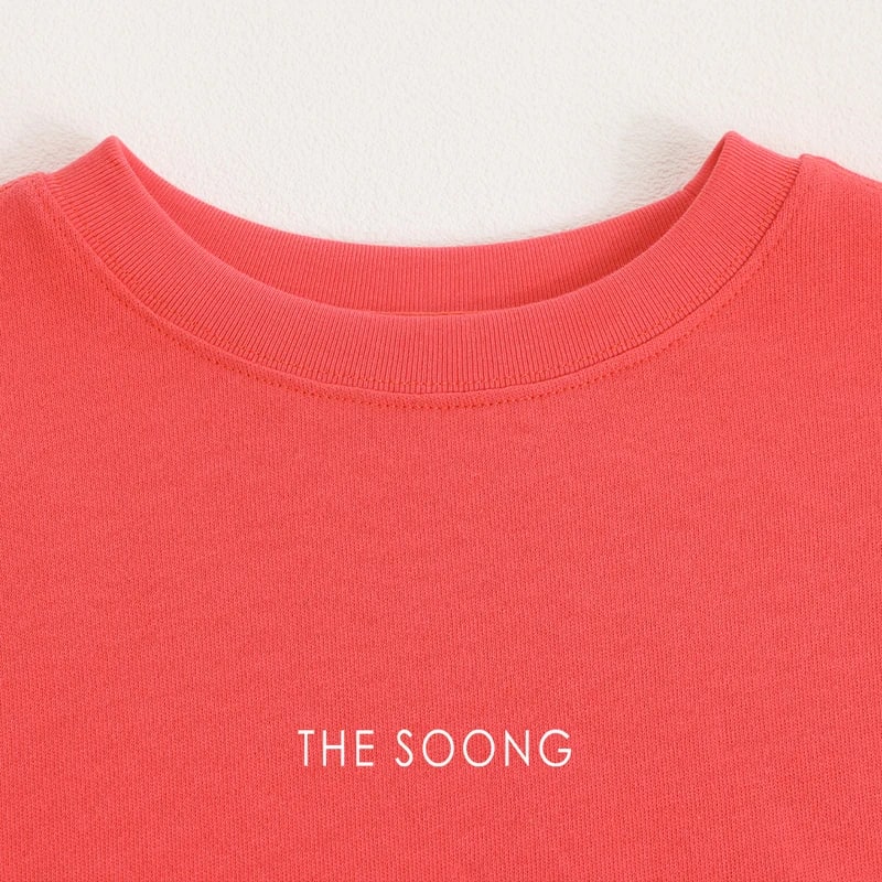 THESOONG “Pop Sweatshirt” 100% Cotton Ribbed Crewneck Relaxed Sweatshirt - 9179 view 16