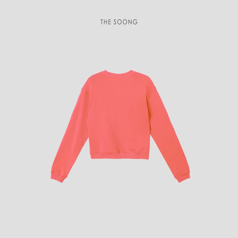 THESOONG “Pop Sweatshirt” 100% Cotton Ribbed Crewneck Relaxed Sweatshirt - 9179 view 15